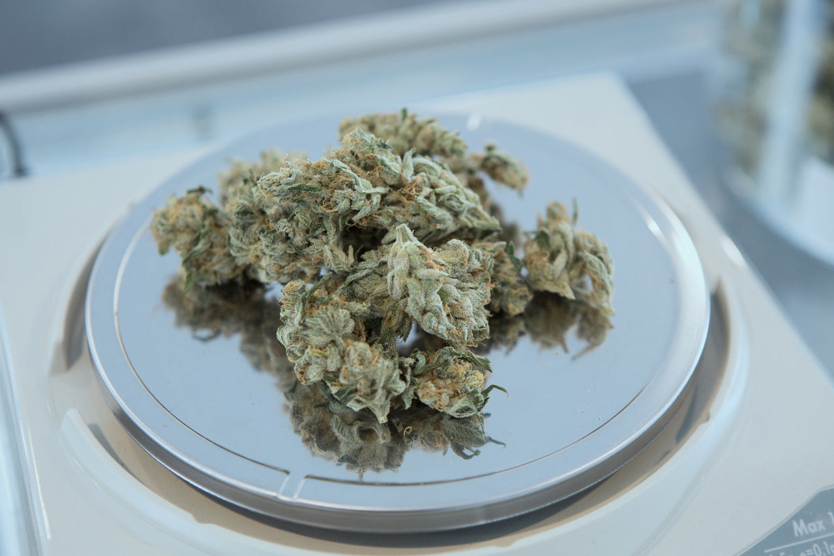7 Mistakes While Cooking Cannabis Edibles